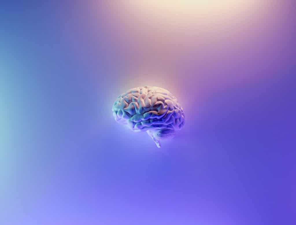 floating human brain on purple background with light