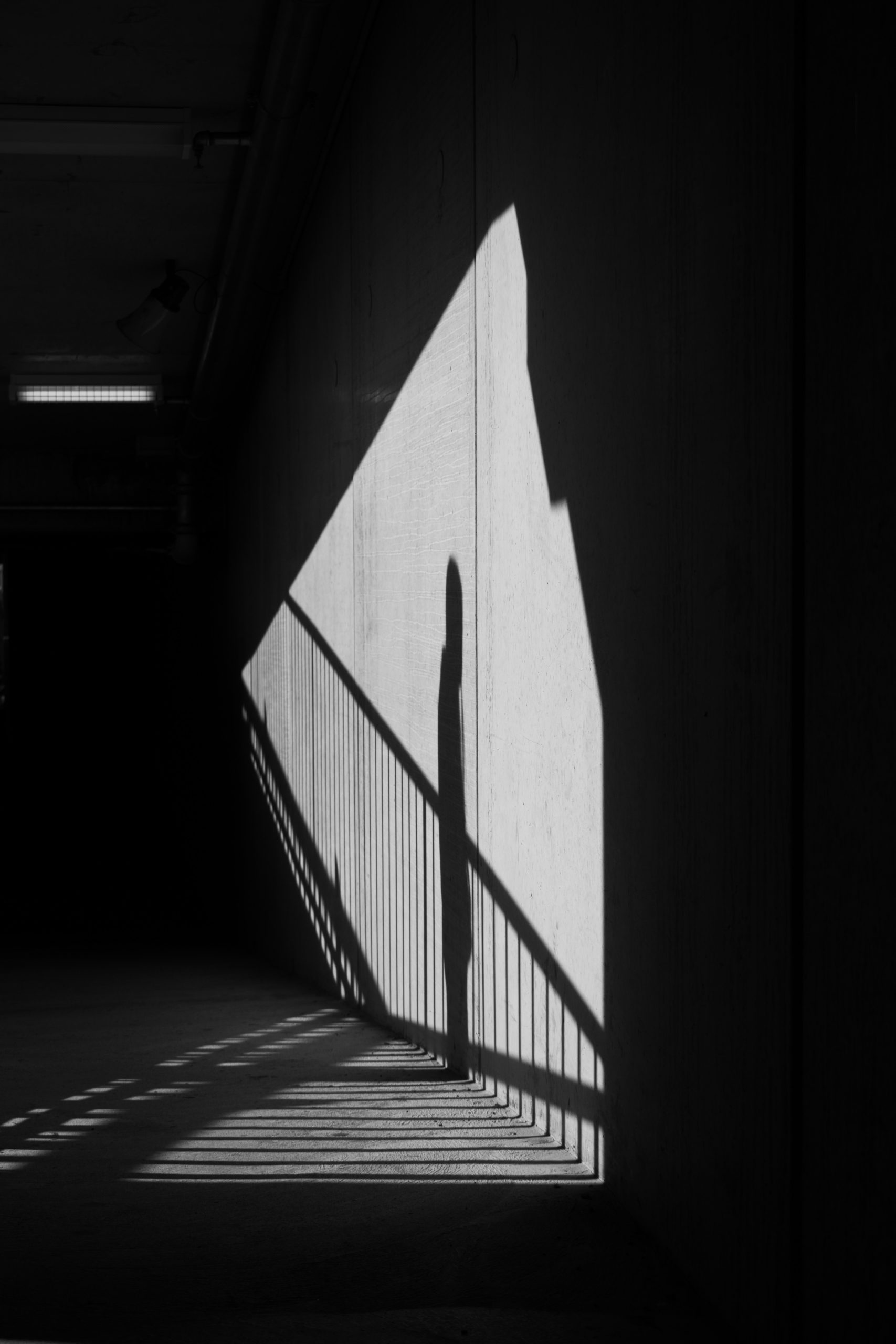 shadow of lonely person on concrete wall surrounded by shadows
