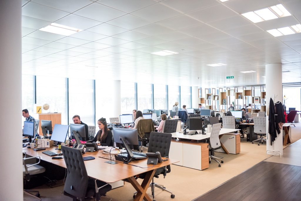 office full of workers
