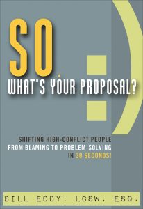 So What's Your Proposal Book Cover
